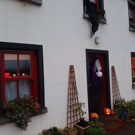 Nellys Bed And Bikes Hotel Westport Exterior foto
