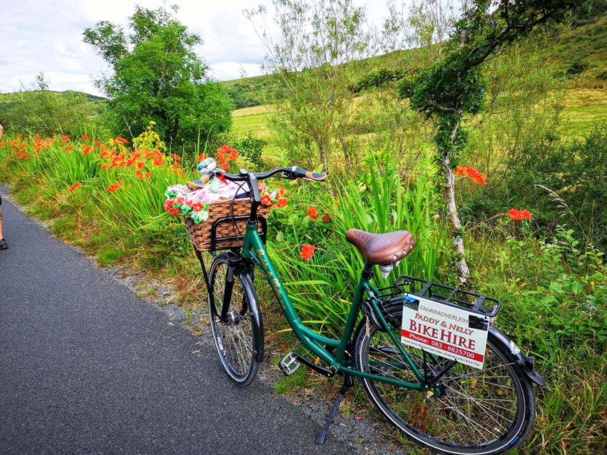 Nellys Bed And Bikes Hotel Westport Exterior foto