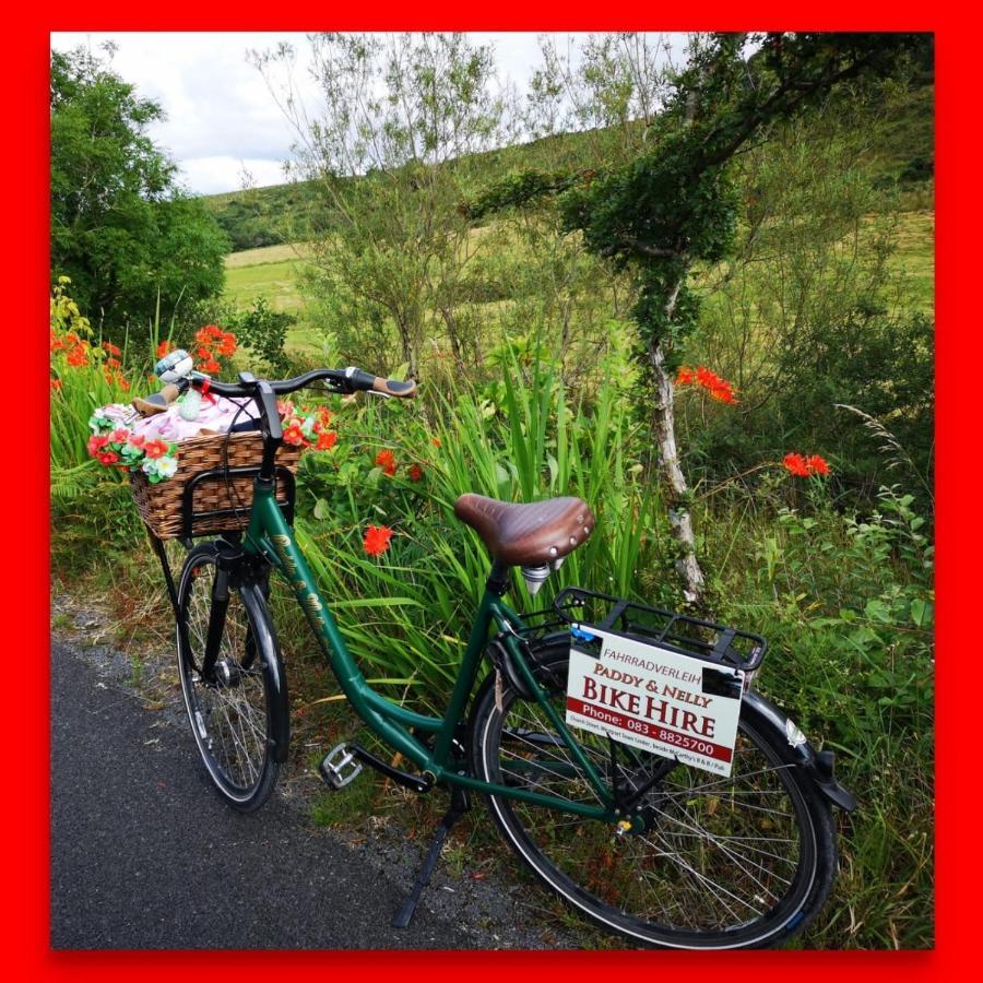 Nellys Bed And Bikes Hotel Westport Exterior foto