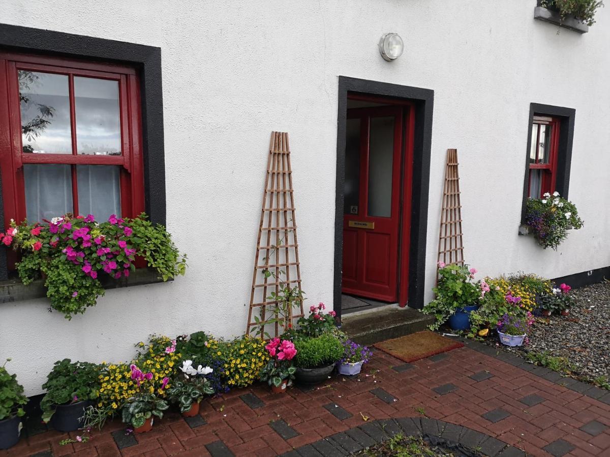 Nellys Bed And Bikes Hotel Westport Exterior foto