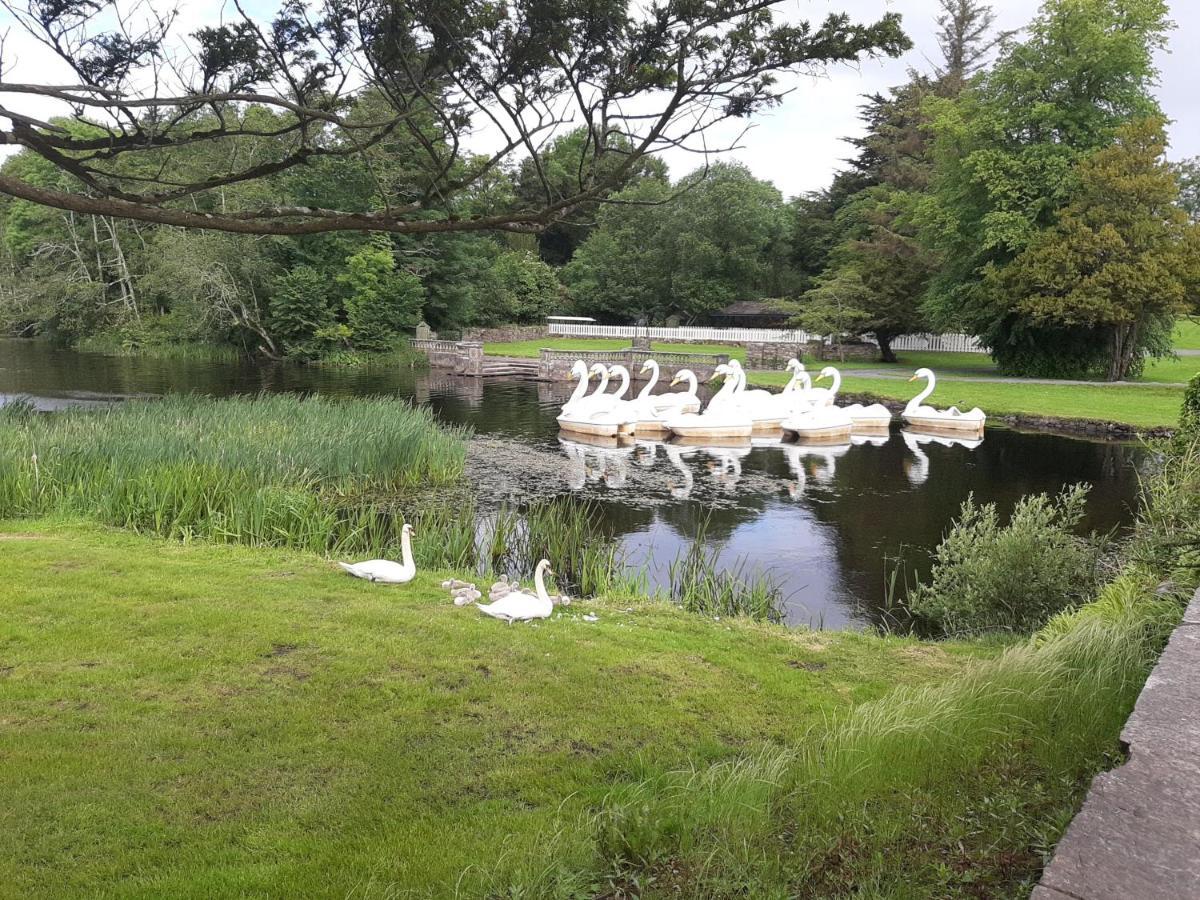 Nellys Bed And Bikes Hotel Westport Exterior foto